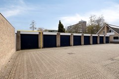 Vijgendam103901slVeenendaalNL-33 - met belijning.jpg